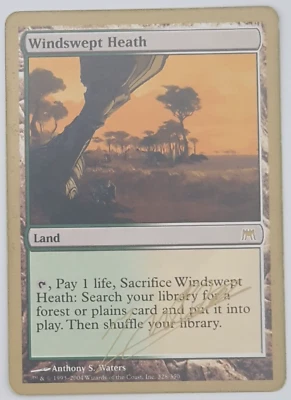 Magic The Gathering - Windswept Heath Card- San Francisco 2004 - Image 1 of 2