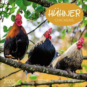 Hühner 2026 | Verlag Korsch | Kalender | 13 S. | Deutsch | 2026 - Bild 1 von 15