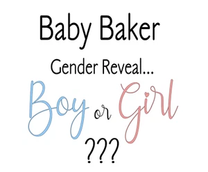 Baby Gender Reveal Vinyl Sticker for Acrylic Backdrop | Balloon | Easel  | large - Picture 1 of 1