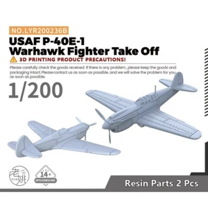 Kit Modelo Militar Yao's Studio 1/200 USAF P-40E-1 Warhawk Fighter Despegue - Imagen 1 de 5