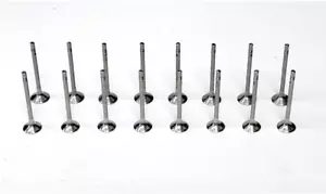 FOR CITROEN C2 C3 C4 206 207 1.4 16V ET3J4 KFU 8 INLET VALVES + 8 EXHAUST VALVES - Picture 1 of 1