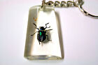 Blue Flea Beetle in Clear Resin - Keyring- Great Grusome Gift - K127