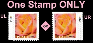 US 5280 Peace Rose F plate single P1111 MNH 2018 - Picture 1 of 1