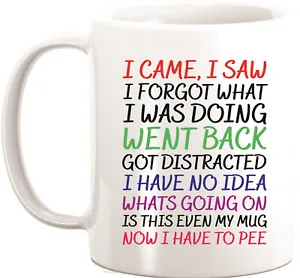 I Came I Saw I Forgot Funny Novelty Coffee Mug - Picture 1 of 1