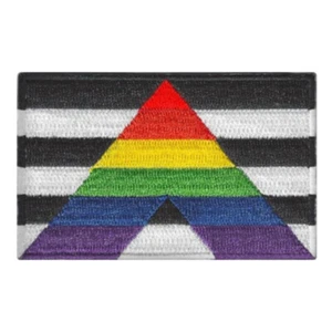 STRAIGHT ALLY FLAG BÜGELBILD PATCH 3" 7,6 cm Applikation Gay Pride LGBTQ Awareness - Bild 1 von 2