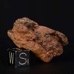 Météorite Wolf Creek de 24,51 grammes Australie Sidérite IIIAB - Picture 1 of 11