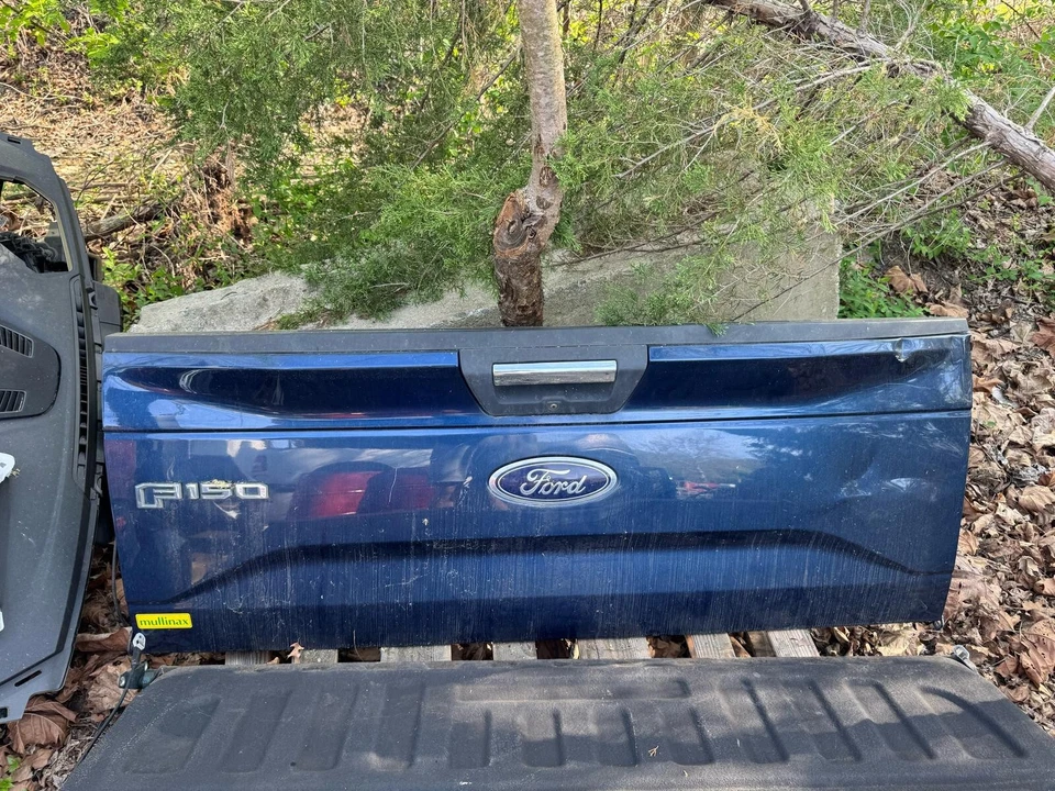 Conjunto de puerta trasera Ford F150 2015-2017 FL3Z-9940700-B fabricante original Foto 1 de 1