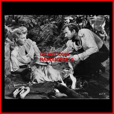 ANN SHERIDAN ZACHARY SCOTT 1953 APPOINTMENT IN HONDURAS 8X10 PHOTO