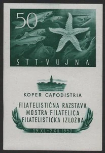 TRIESTE-1952 Zone B STT-VUJNA Philatelic Exhibition Souvenir Sheet UM V40520 - Picture 1 of 1