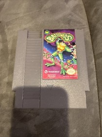 Battletoads NES gioco Nintendo testato!