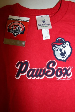 NEW Pawtucket Paw Sox MiLB MINOR LEAGUE BASEBALL TEE T SHIRT 2T Toddler Cover