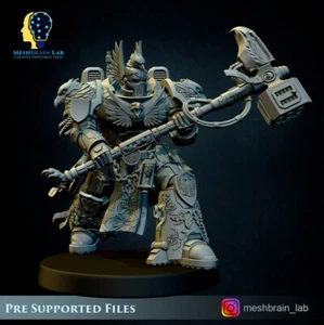 Imperial Marine Master of the order c - Picture 1 of 1