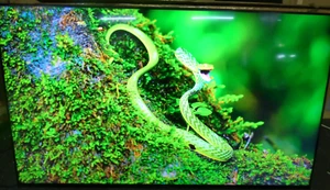 Sony KD-65X80L 65 inch 4K HDR Smart TV (SRP £999) *FAULT - PRISM SHEET* - Picture 1 of 6