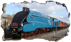 Stockente Lokomotive Dampfbahn selbstklebender Wandaufkleber Aufkleber Druck Poster - Bild 1 von 1