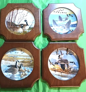 Lot 4 vintage Franklin Porcelain DUCKS Water Birds of the World Plates w Frames - Picture 1 of 11