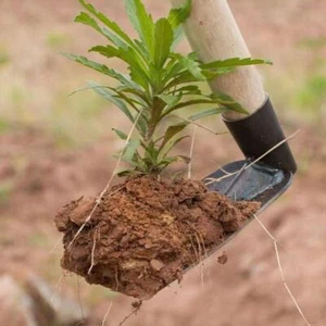 Forged Steel Garden Hoe Heavy-Duty Weeding Digging Tool for Farming & Plantiing - Picture 1 of 29