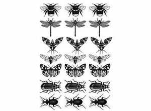 Insect Mania 21 pcs 1 Inch Black Fused Glass Decals - Picture 1 of 1