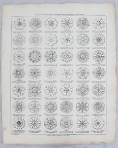 19th Century Antique Decorative Rosettes LN Cottingham Architectural Print LV - Picture 1 of 2