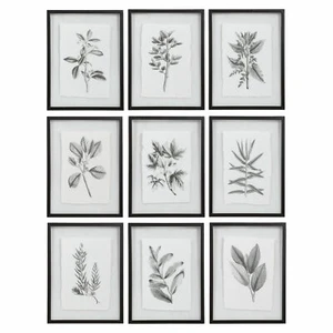 Botanical Black and White Floral Print Set 9 Wall Art Grouping Leaves Framed - Picture 1 of 7