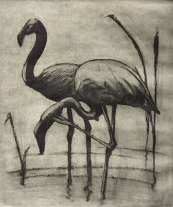 Unbekannt unleserlich drucksigniert / Kaltnadelradierung zwei Flamingos - Bild 1 von 12