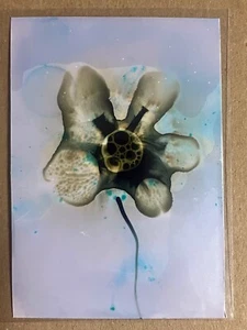 Tonito Original ACEO painting.Unique art technique never seen before.Flower 5 - Picture 1 of 1