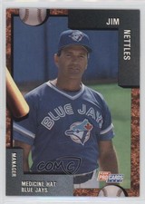 1992 Fleer ProCards Minor League Jim Nettles #3222