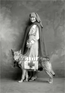 UNIFORME DE ENFERMERA PASTOR PERRO CRUZ ROJA DE LA PRIMERA GUERRA MUNDIAL TELA DE COLECCIÓN FOTO LONA IMPRESIÓN ARTÍSTICA - Imagen 1 de 1