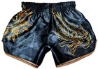 ORIGINAL Muay Thai Shorts Phaya Naga (Anthrazit) Kickboxing MMA UFC trunks NEW