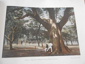 La Martinique - Statue Impératrice Joséphine Photochromie Gravure fin 19ème - Imagen 1 de 1