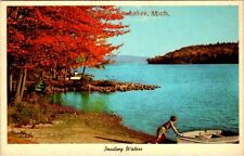 Lake View, The Hut, SIX LAKES, Michigan Chrome Postcard - Curt Teich
