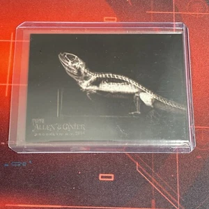 2024 Topps Allen & Ginter X-Ray #XR-6 BEARDED DRAGON Oregon Zoo - Picture 1 of 2