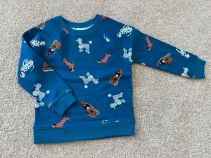 New Boys Hanna Anderson Sweatshirt - Size 100 or US 4 - Picture 1 of 2