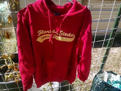 Sudadera con Capucha Vintage Y2K Florida State Seminoles Parche Logo Clásico Adulto XL Foto 1 de 3