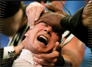 2007 Topps Action WWE Wrestling Card #87 Bald Milliardär Mr. McMahon - Bild 1 von 2