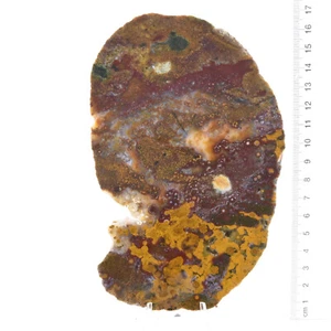 River Jasper 2 x Slabs 405g Pack, Cabbing, Gemstone Rough, Lapidary, Mineral - Picture 1 of 2