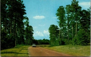 Classic Car on the NATCHEZ TRACE PARKWAY Postcard - Picture 1 of 2