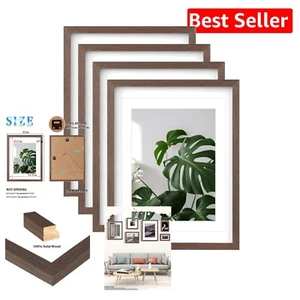 Elegant Solid Wood Picture Frames Set of 4 - 12x16 with Safety Plexiglass Cover - Picture 1 of 10