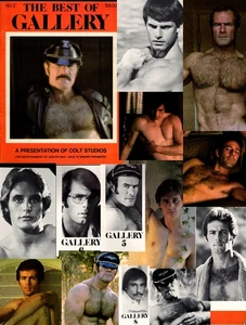 COLT MEN BEST OF GALL 2 1974 PLAYGIRL HAIRY HUNKS MONTE HANSON COVER MAN LEDERME - Picture 1 of 2