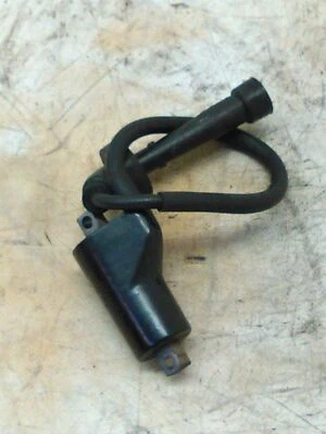 BOBINA ACCENSIONE CAVO LUNGO PER HYOSUNG GV 250 B AQUILA DEL 2009 (e43200) Foto 1 de 3