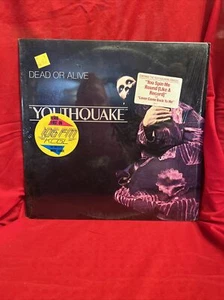 Dead Or Alive Youthquake Vinyl LP Record 1985 80s - Picture 1 of 2