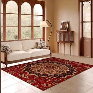 Area Rugs for Living Room, 4X6 Ft Moroccan Boho Vintage Rugs Home Decor Farmh... - Picture 1 of 6