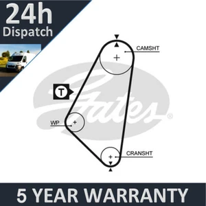 Courroie de distribution Purevue compatible avec Vauxhall Nova 1982-1993 1.2 1.3 + autres modèles - Photo 1/1