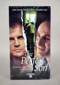 THE PERFECT SON (VHS Tape, 2002) Two Brothers Torn Apart By Their Secrets. NEW - Picture 1 of 4