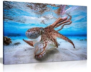 Dancing Octopus Underwater Framed Canvas Print Wall Art Home Decor - Picture 1 of 6