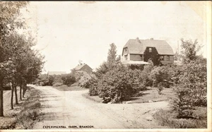 Experimental Farm Brandon Manitoba Vintage Postcard - Picture 1 of 2