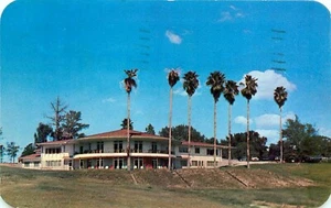 GOLF & COUNTRY CLUB, GAINESVILLE, FLORIDA, VINTAGE POSTCARD - Picture 1 of 2