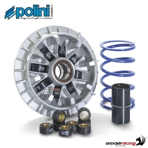 Variador de alta velocidad Polini para Yamaha Tmax 530 2012-2016 - Imagen 1 de 5