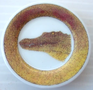 Fève 2006 ASSIETTES SAVANE CROCODILE 3 cm de Ø - Bild 1 von 1