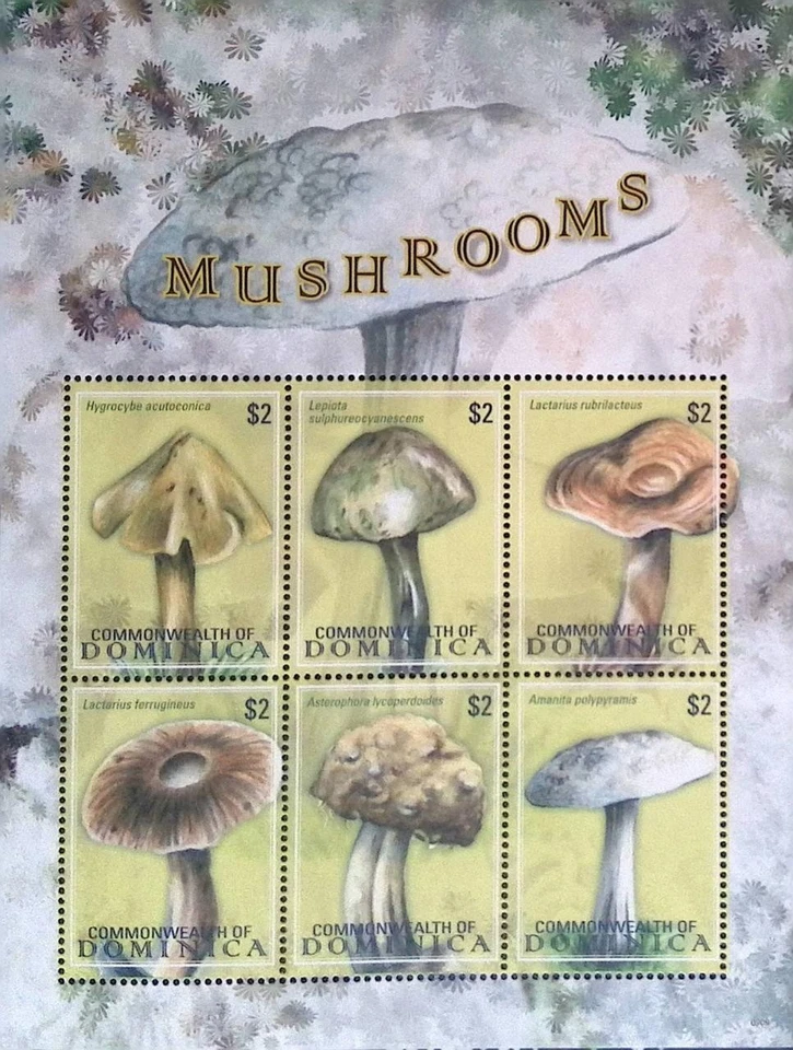 P) 2009 DOMINICA, NOMES CIENTÍFICOS DE COGUMELOS, MINISSOLHA DE 6 SELOS, SEM MARCA DE CHARNEIRA - Imagem 1 de 1