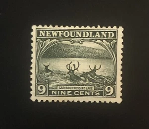 Stamps Canada Newfoundland Sc138  9c slate green Caribou Crossing, see details - Picture 1 of 7